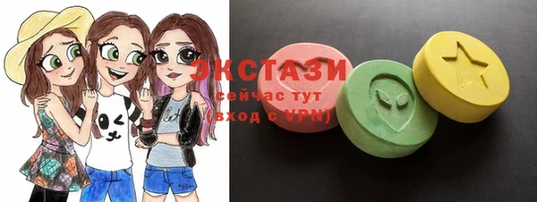 индика Арсеньев