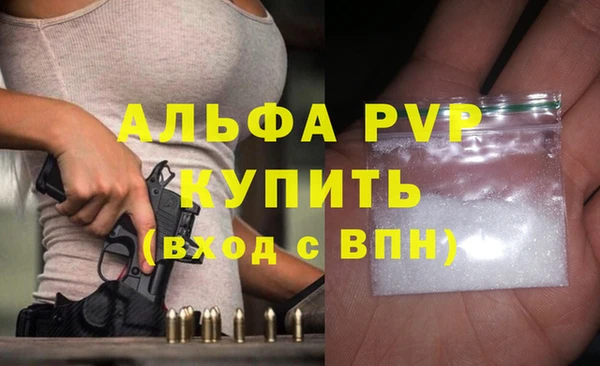 индика Арсеньев