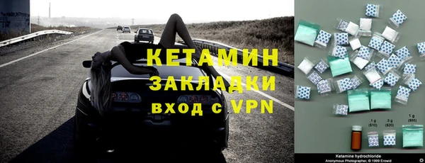 индика Арсеньев