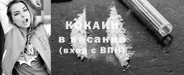 индика Арсеньев